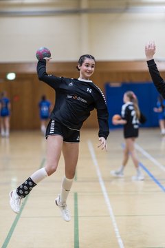 Bild 197 - wBJ TSV Ellerau - HSG Stoertal Hummeln : Ergebnis: 26:19